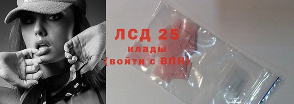 ешки Аркадак