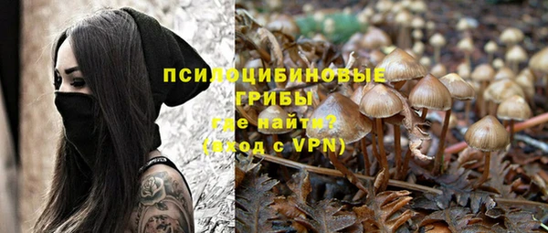 винт Арсеньев