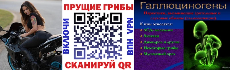 blacksprut рабочий сайт Петухово дарк нет какой сайт Псилоцибиновые грибы Magic Shrooms